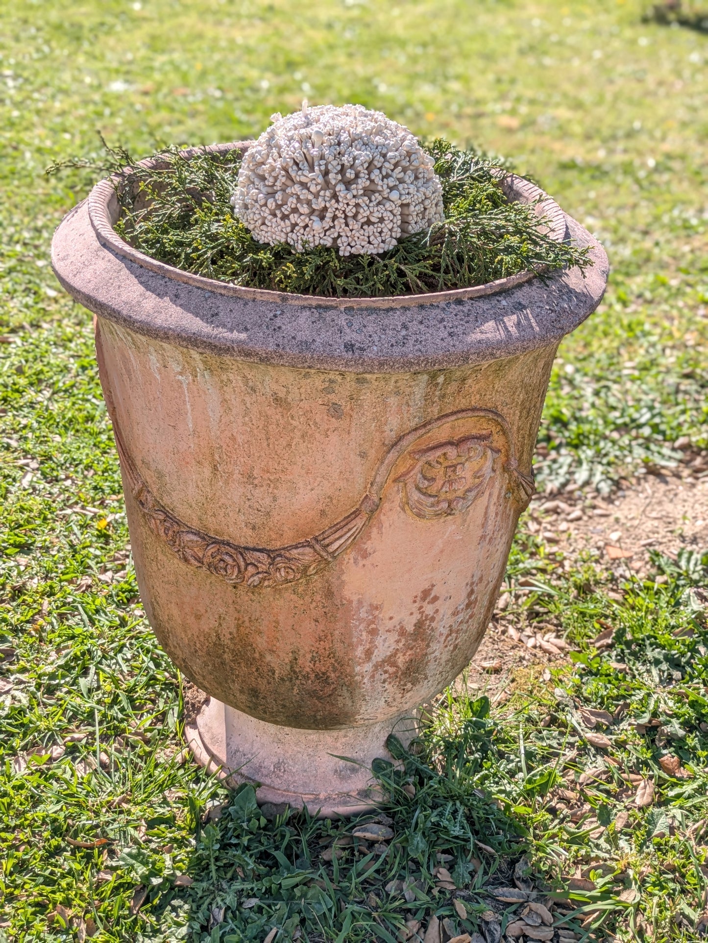 HORTÊNSIA 3