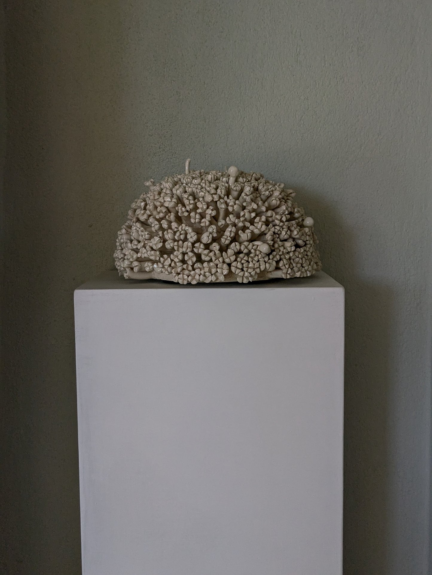 HORTÊNSIA 3