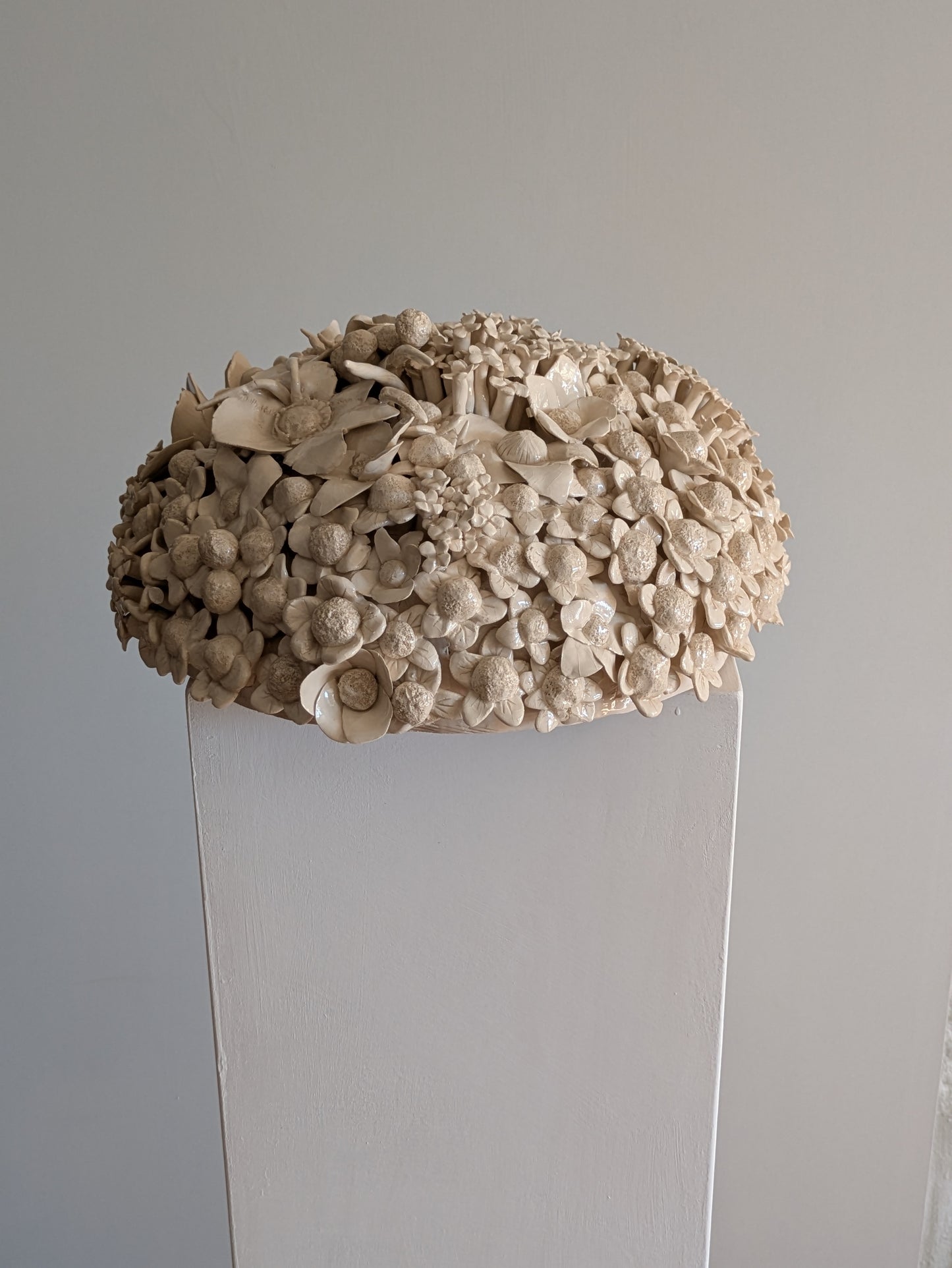 HORTENSIA 4