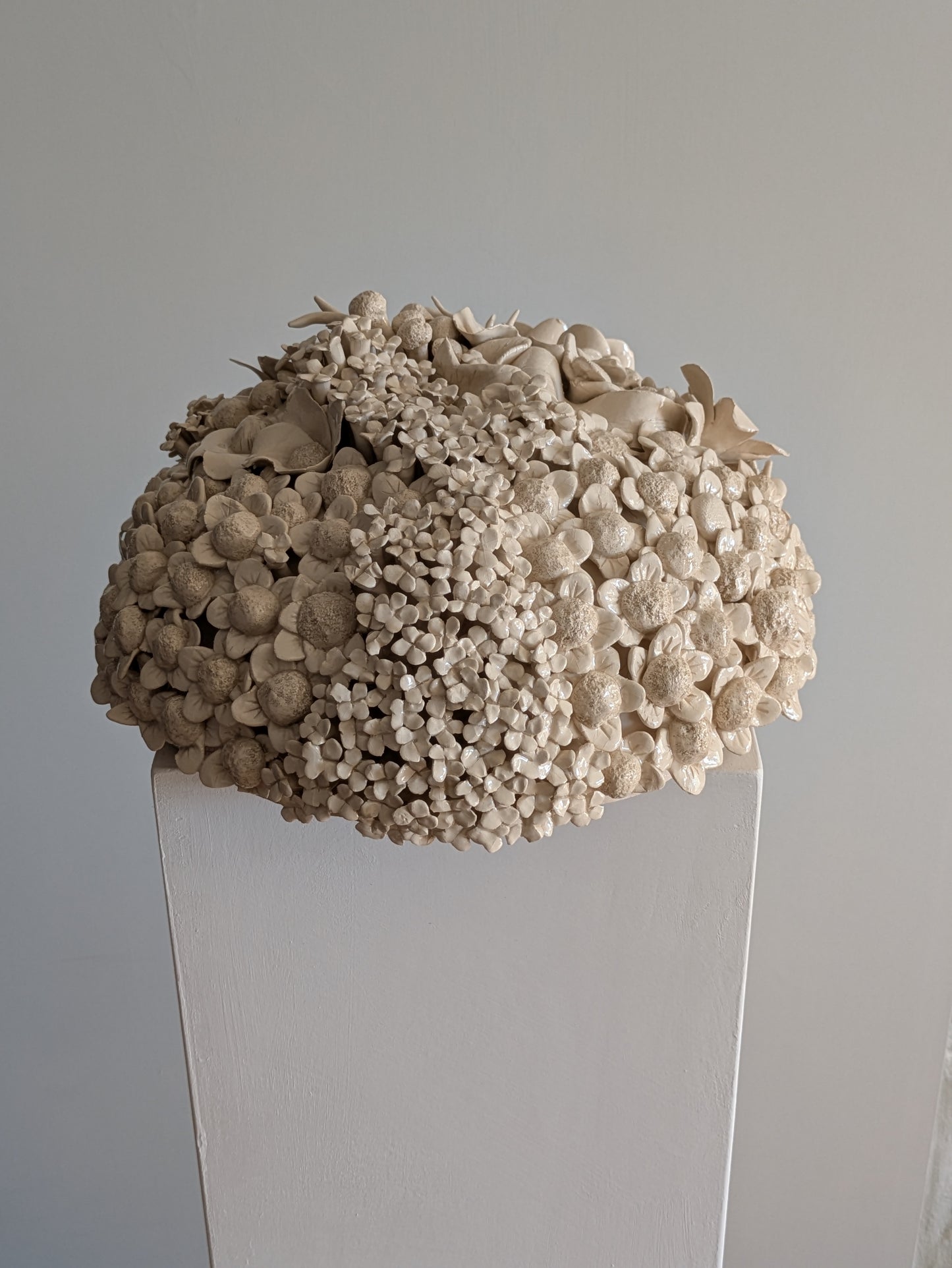 HORTENSIA 4
