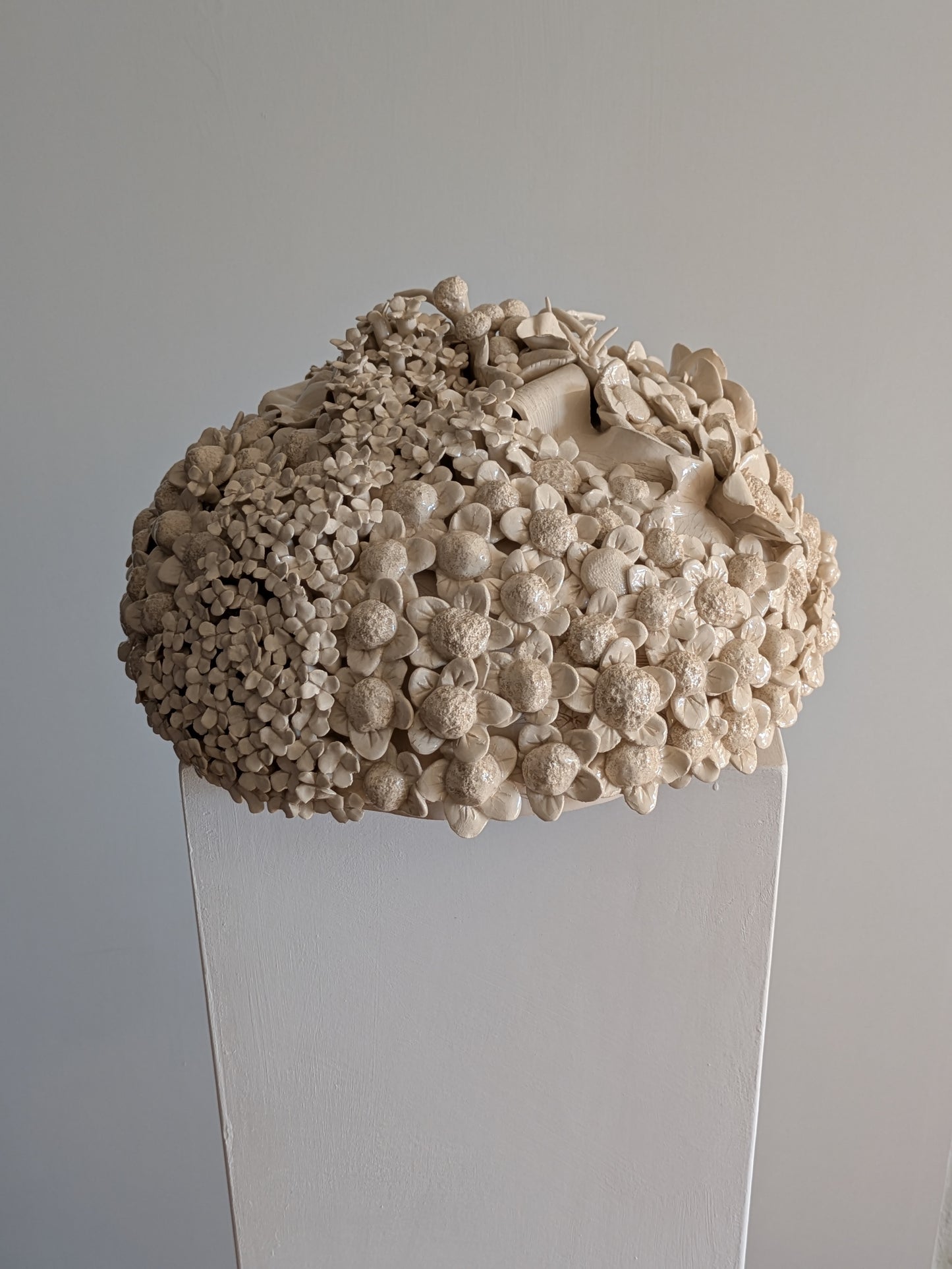 HORTENSIA 4