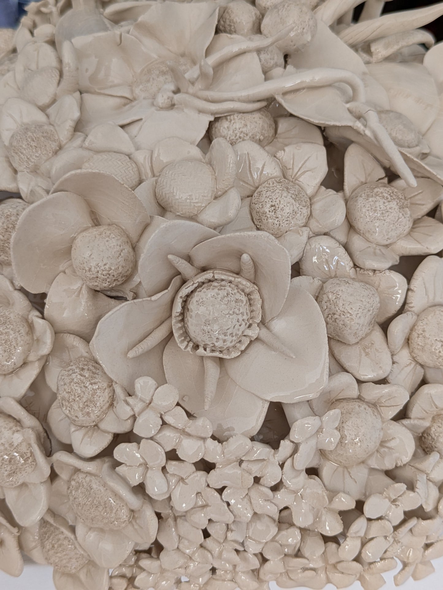 HORTENSIA 4