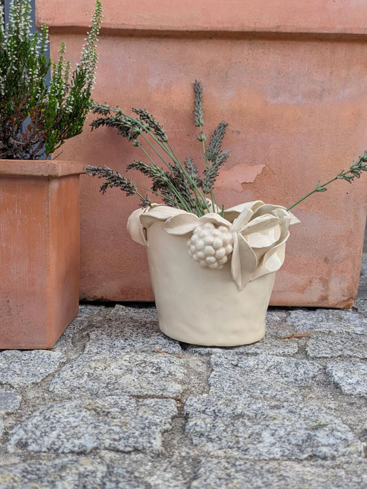 VASO 2