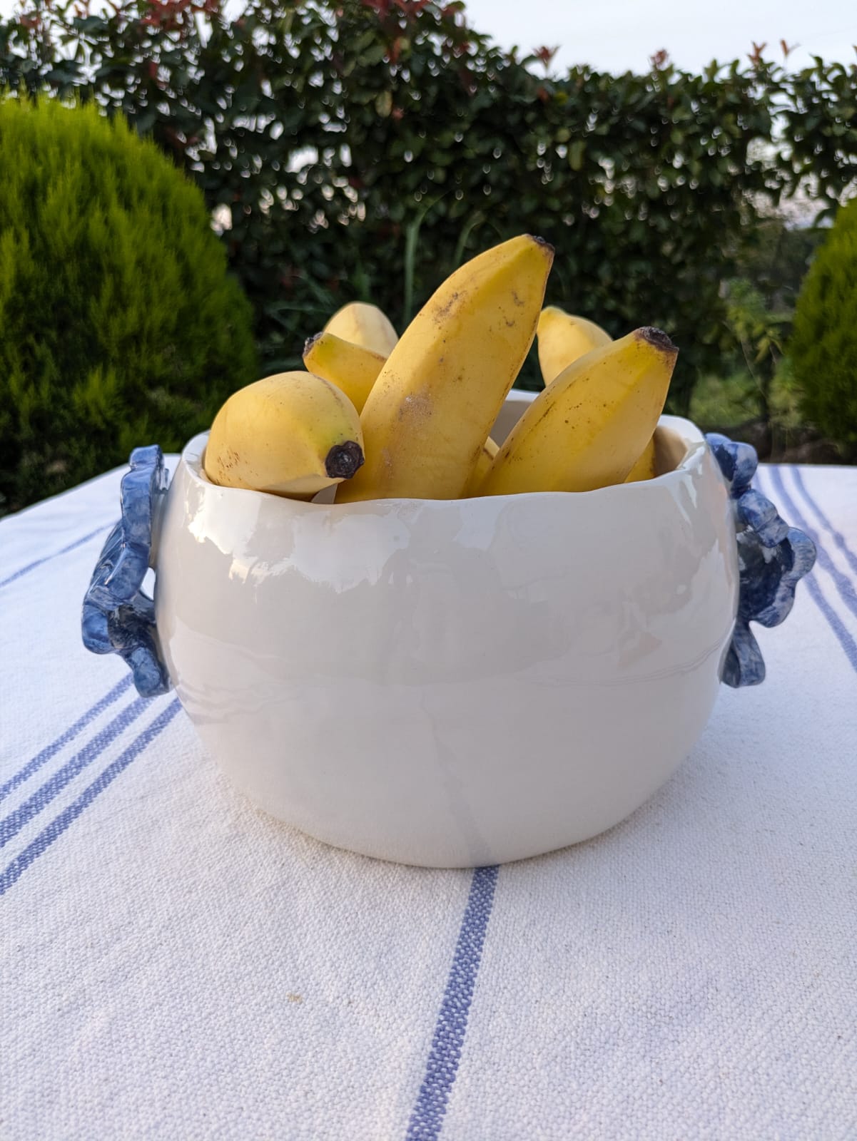 TRAVESSA "FOLHA AZUL"