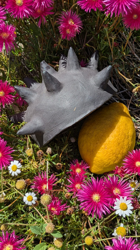 TAÇA "GALAXIA"
