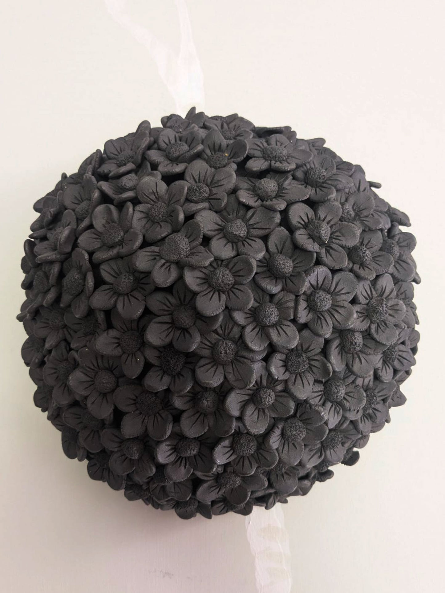 HORTENSIA 1