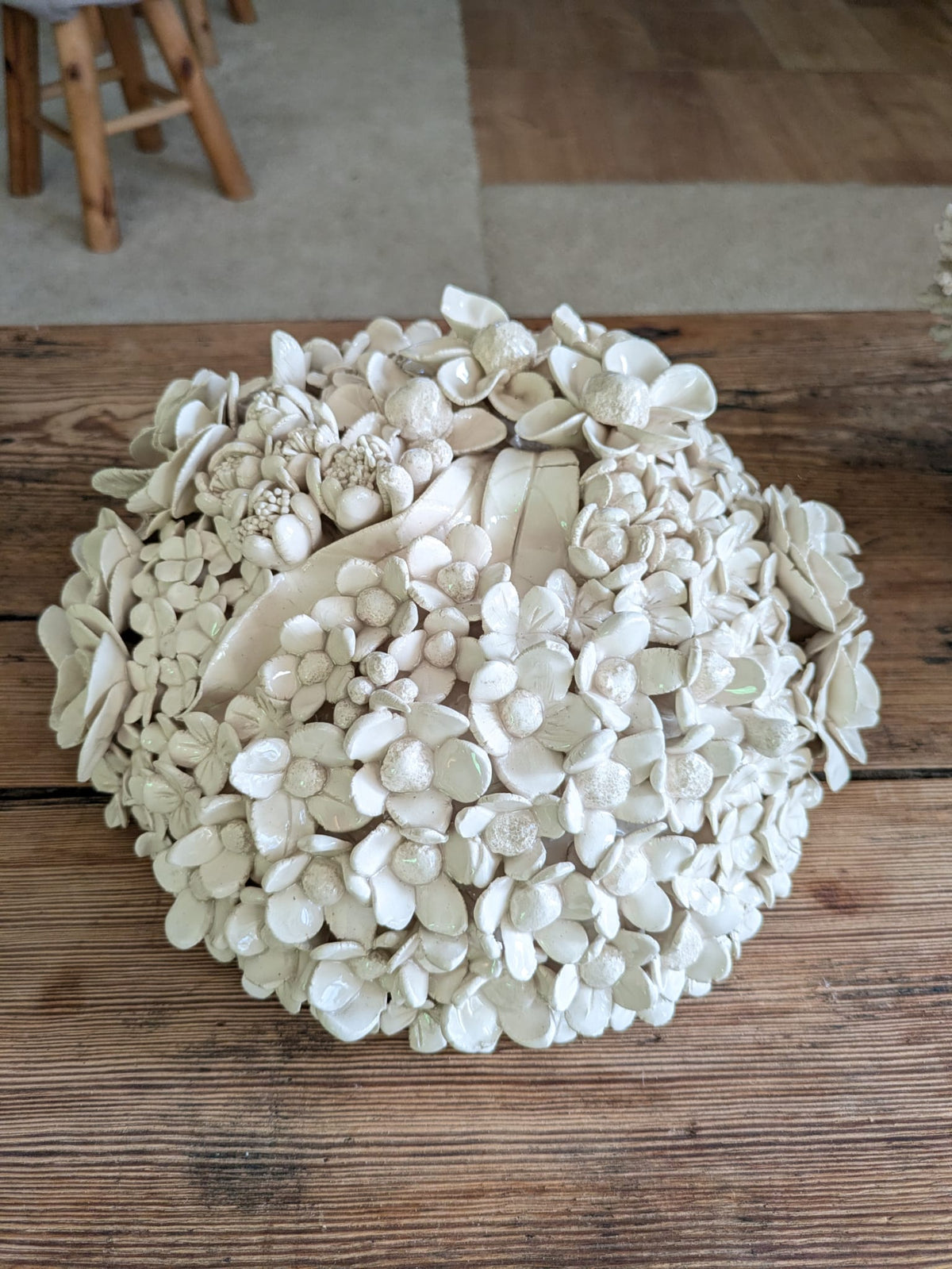 HORTENSIA 12